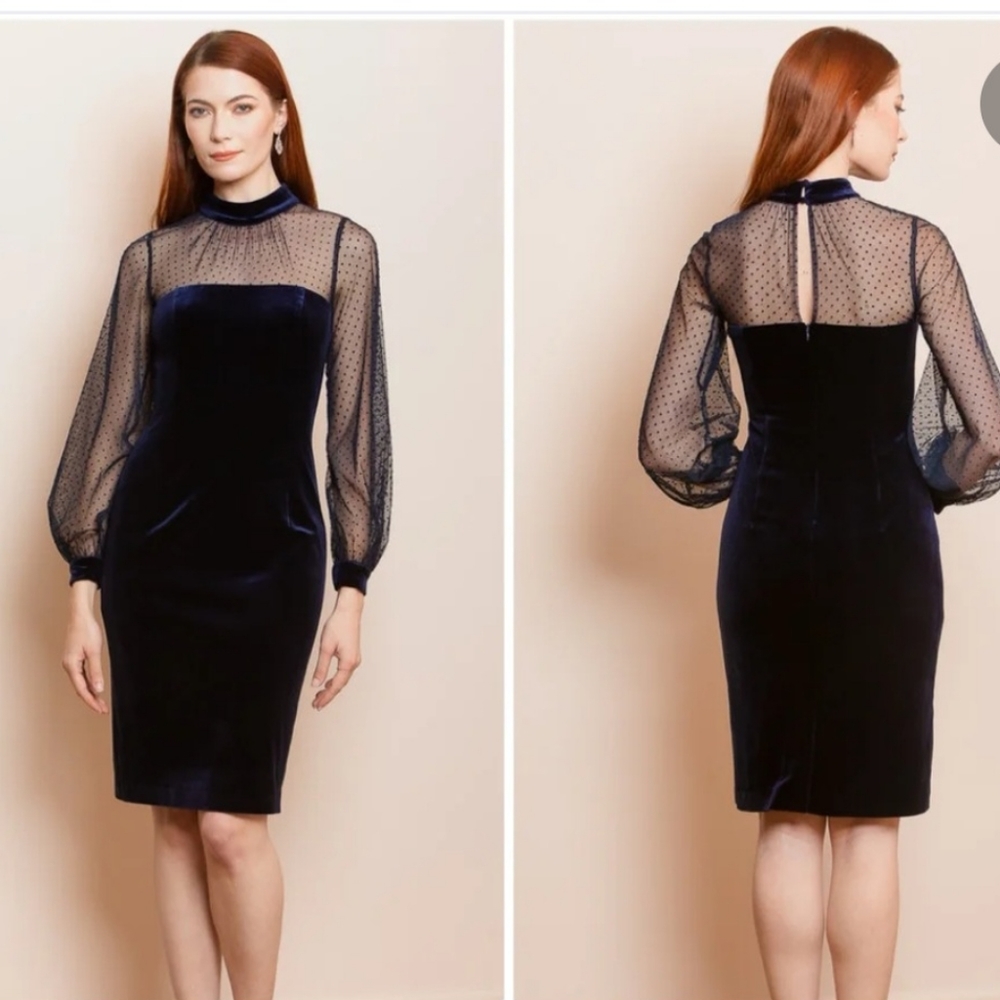 NWT Eliza J. Velvet Mockneck Mesh Long Sleeve Mesh Long Sleeve Dot Lined Dress